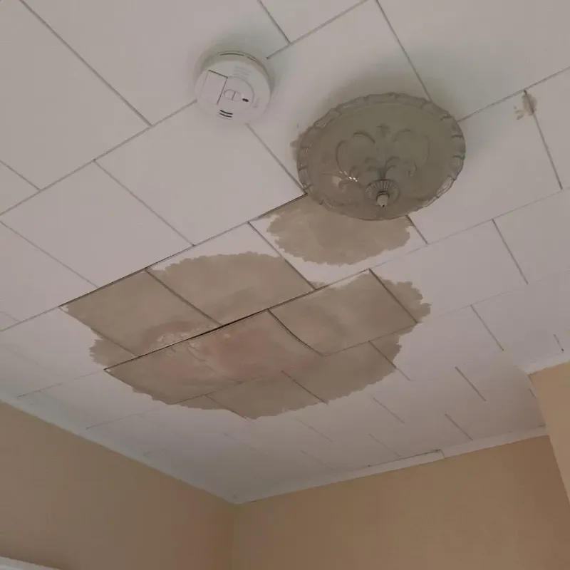 Ceiling Water Damage Repair in Chillicothe, OH