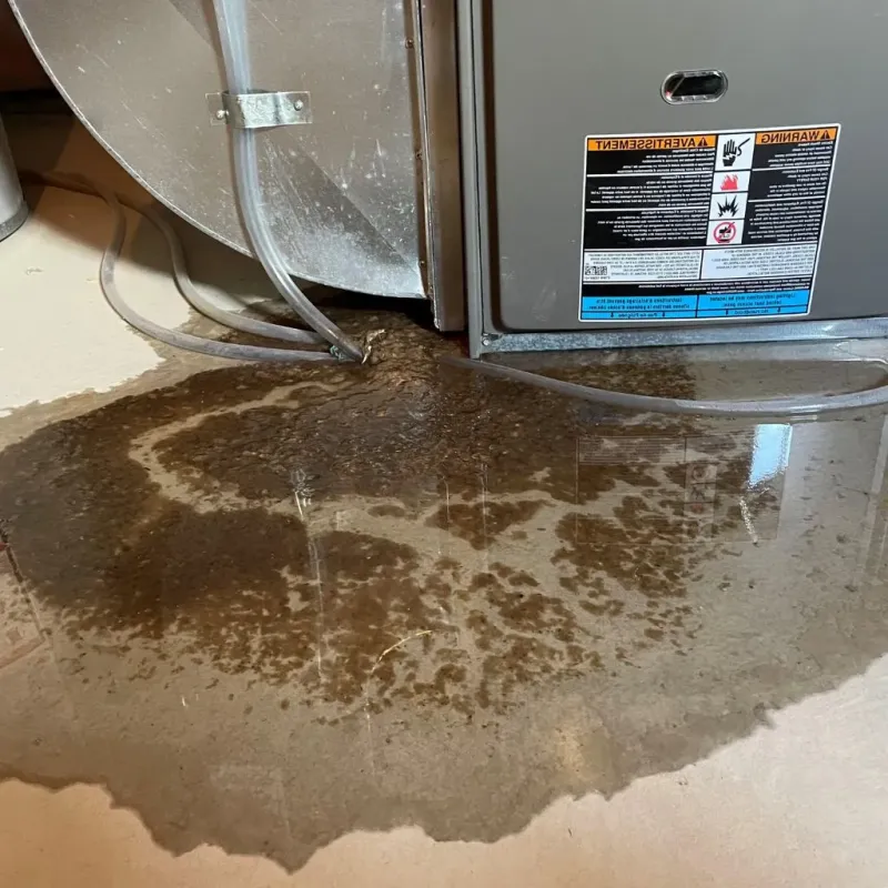 Pipe Burst and Leak Restoration in Chillicothe, OH