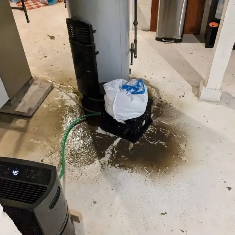 Sewage Backup Cleanup Service in Chillicothe, OH